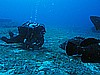 IMG_2967.JPG
