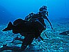 IMG_2968.JPG