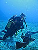 IMG_2969.JPG