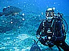 IMG_2972.JPG