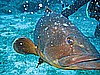 IMG_2973.JPG