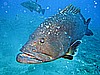 IMG_2976.JPG