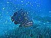 IMG_2978.JPG