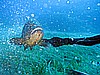 IMG_2979.JPG