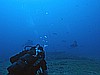 IMG_2981.JPG