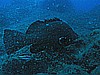 IMG_2982.JPG