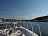IMG_2988.JPG