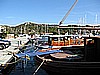 IMG_2991.JPG