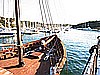 IMG_2993.JPG