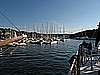 IMG_2995.JPG