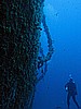 IMG_3043.JPG