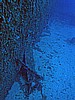 IMG_3047.JPG