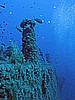 IMG_3048.JPG