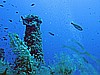 IMG_3049.JPG