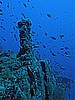 IMG_3050.JPG
