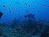 IMG_3065.JPG