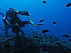 IMG_3067.JPG