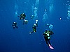 IMG_3072.JPG