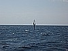 IMG_3076.JPG