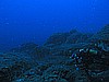 IMG_3100.JPG