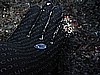 IMG_3103.JPG