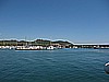 IMG_3115.JPG