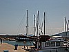 IMG_3117.JPG