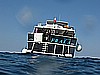IMG_3126.JPG