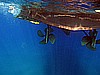 IMG_3131.JPG