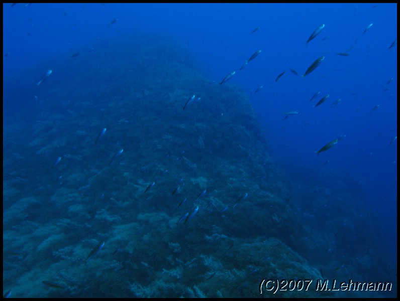 IMG_3173.JPG