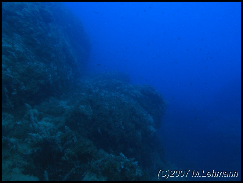 IMG_3174.JPG