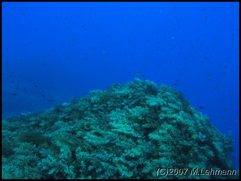 IMG_3216.JPG