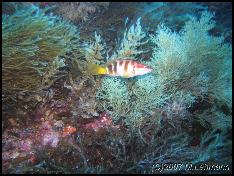 IMG_3323.JPG