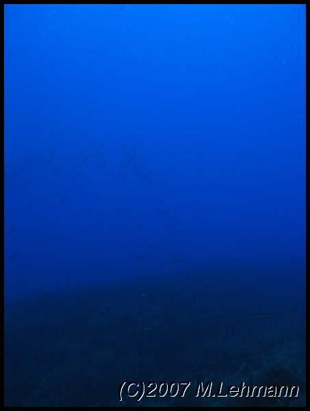 IMG_3326.JPG
