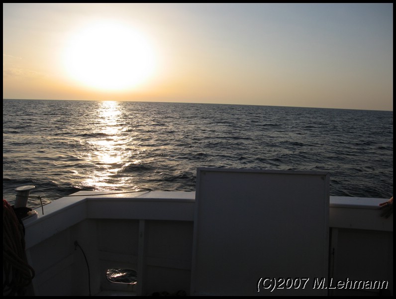 IMG_3341.JPG