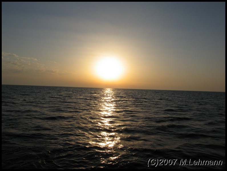 IMG_3349.JPG