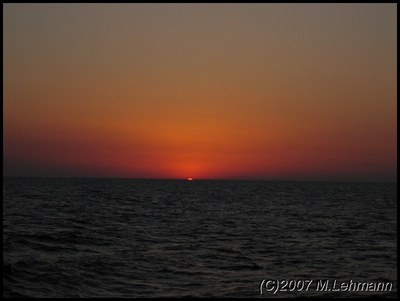 IMG_3379.JPG