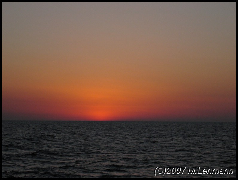 IMG_3381.JPG