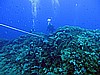 IMG_3170.JPG