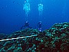 IMG_3171.JPG