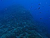 IMG_3173.JPG