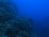 IMG_3174.JPG