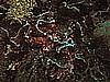 IMG_3176.JPG