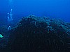 IMG_3177.JPG