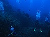 IMG_3178.JPG