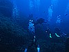 IMG_3179.JPG