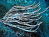 IMG_3180.JPG