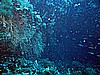 IMG_3182.JPG