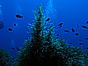 IMG_3189.JPG