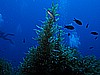 IMG_3190.JPG